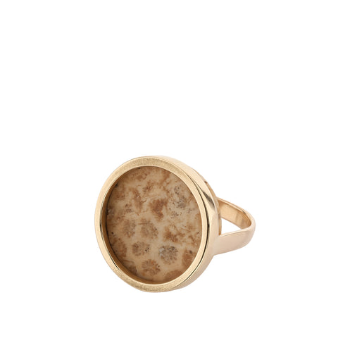 New In