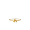 Golpira loved and found ring 